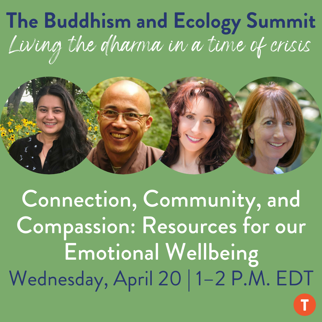 The Buddhism and Ecology Summit