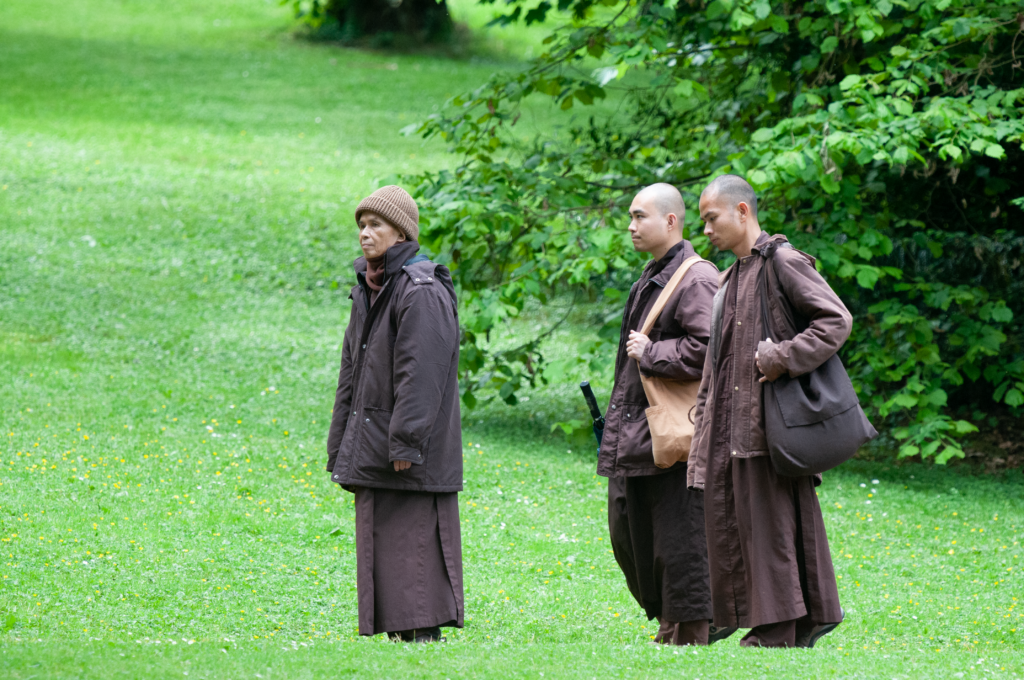 Thich Nhat Hanh in a green field