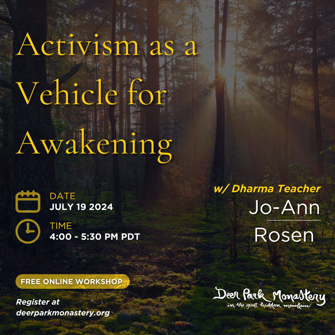 Activism as a Vehicle for Awakening